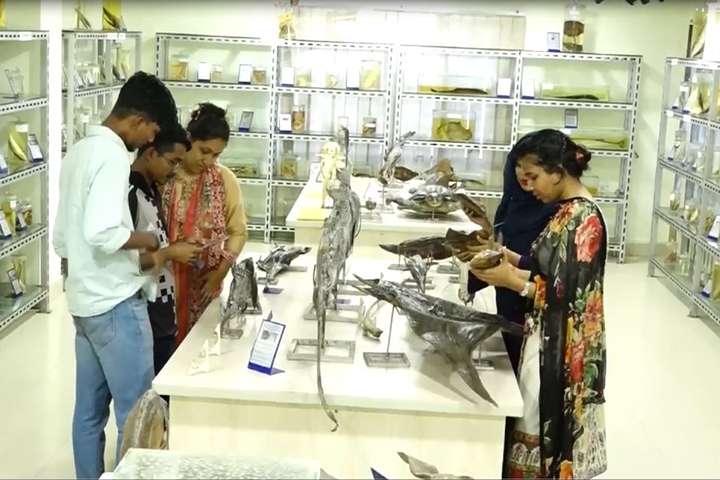 চট্টগ্রামের মৎস্য জাদুঘরে ৩২৫ প্রজাতির মাছ (ভিডিও)