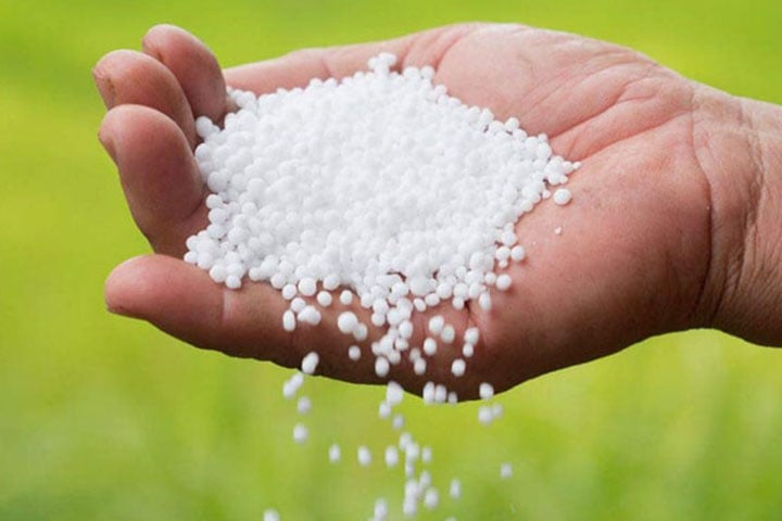 ৬০ হাজার টন সার কিনবে সরকার