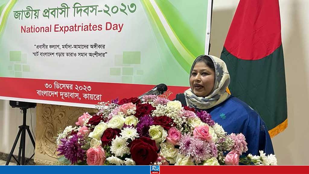 মিশরে জাতীয় প্রবাসী দিবস উদযাপন