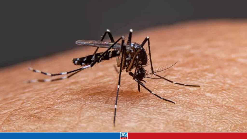 ডেঙ্গুতে এবার একদিনে ৮ মৃত্যু, হাসপাতালে নতুন ভর্তি ৭৭৮