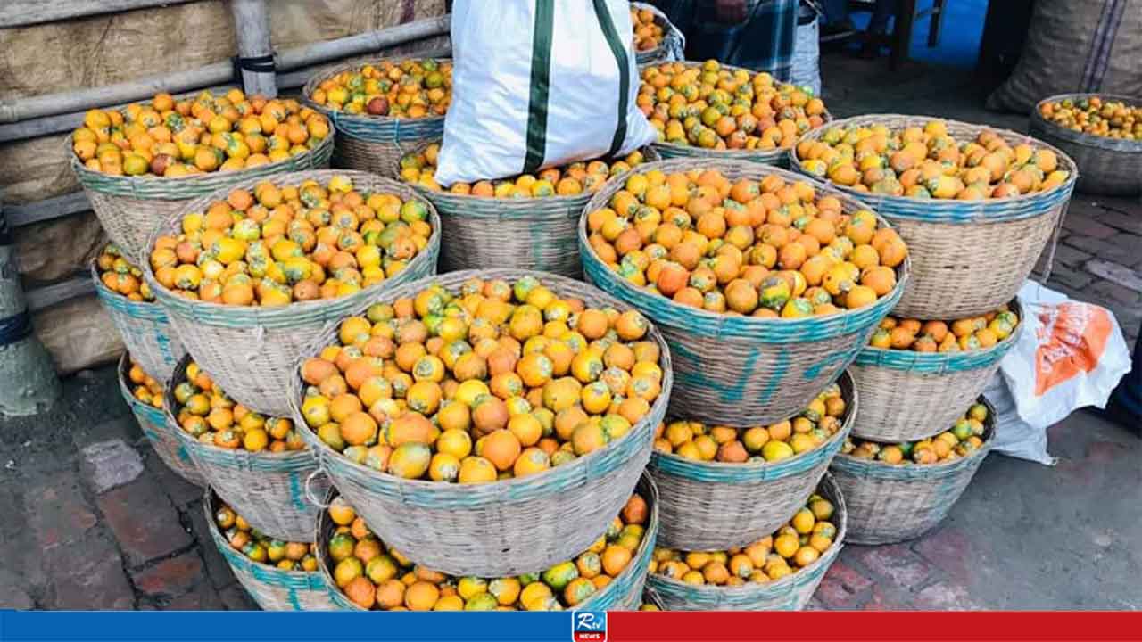 সুপারি উৎপাদনে সমৃদ্ধ বরিশাল, বছরে ১ লাখ ৮ হাজার ৬৬৬ টন