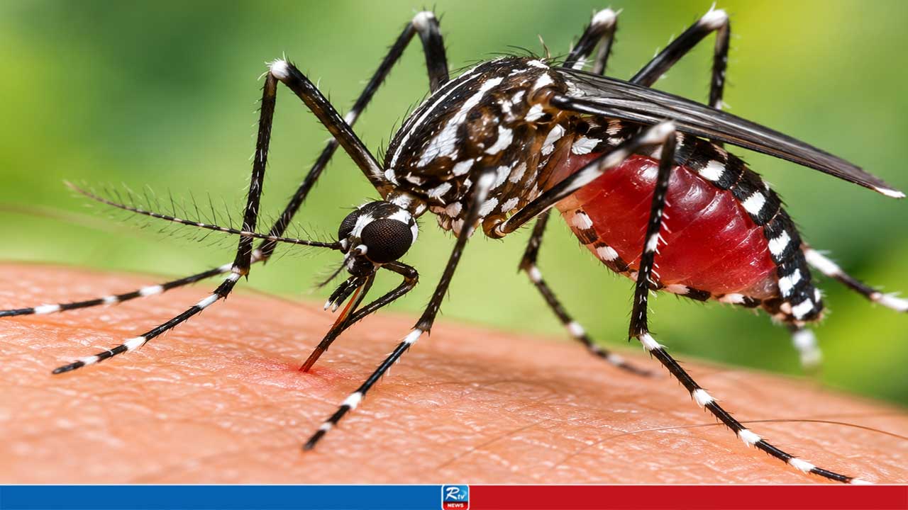 চট্টগ্রামে ২৪ ঘণ্টায় ডেঙ্গুতে দুইজনের মৃত্যু
