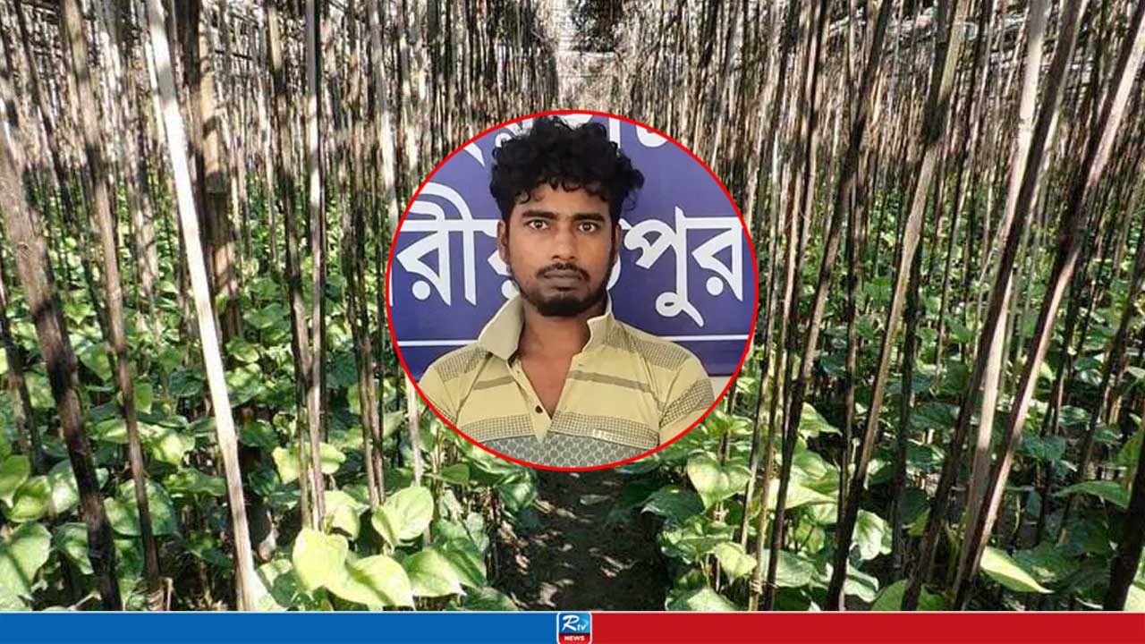 পানের বরজে কিশোরীকে নিয়ে ‘শেষ রক্ষা’ হলো না রায়হানের