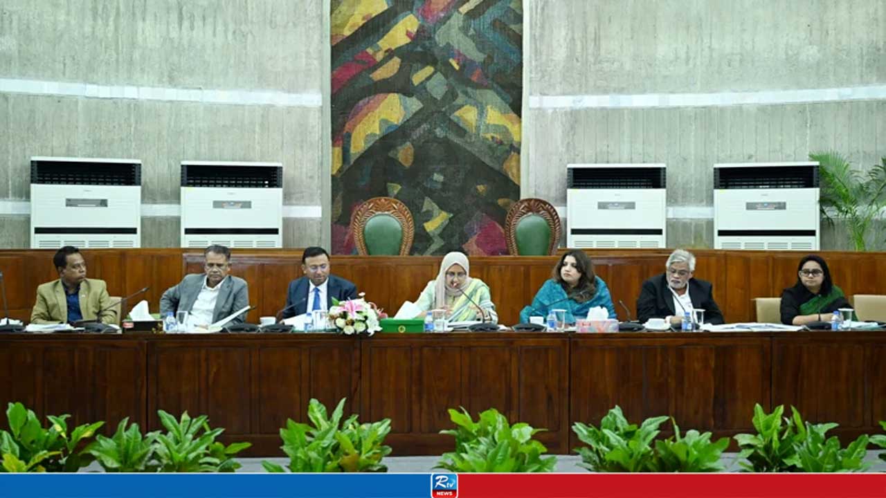 শেখ হাসিনাকে ফেরাতে কূটনৈতিক উদ্যোগ অব্যাহত: স্থায়ী কমিটি