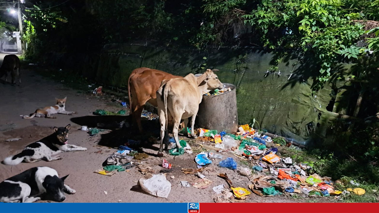 ট্যাক্সের হিসাব আছে, ডাস্টবিনের ময়লা সরানোর হিসাব নেই
