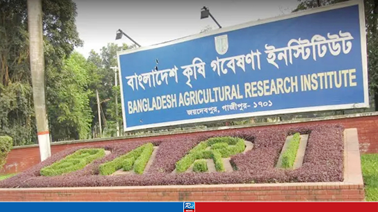 বাংলাদেশ কৃষি গবেষণা ইনস্টিটিউটে ২৮৭ জনের বড় নিয়োগ