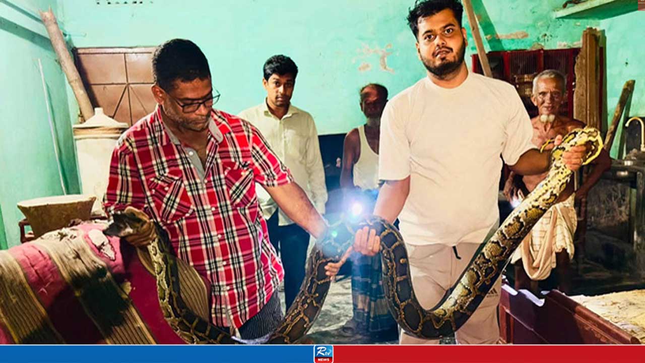 হঠাৎ খাটের নিচে ‘হিস হিস’, টর্চ জ্বালাতেই চক্ষু চড়কগাছ