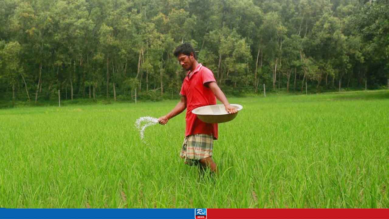 সার ব্যবস্থাপনায় নতুন উদ্যোগ, ৬৪ জেলায় শতভাগ বরাদ্দ পাবে কৃষকরা