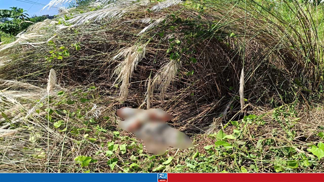 কাশবনে মিলল অজ্ঞাত যুবকের হাত-পা বাঁধা মরদেহ