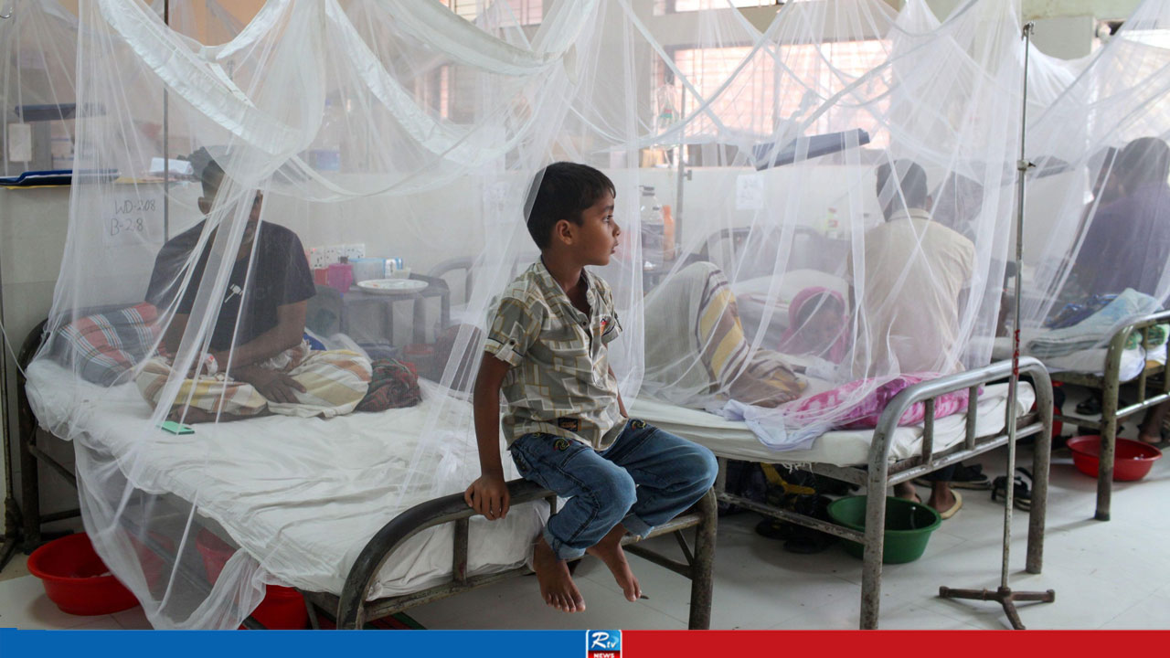 Dengue Claims 5 More Lives in 24 Hours, 1,872 New Patients Hospitalized Nationwide