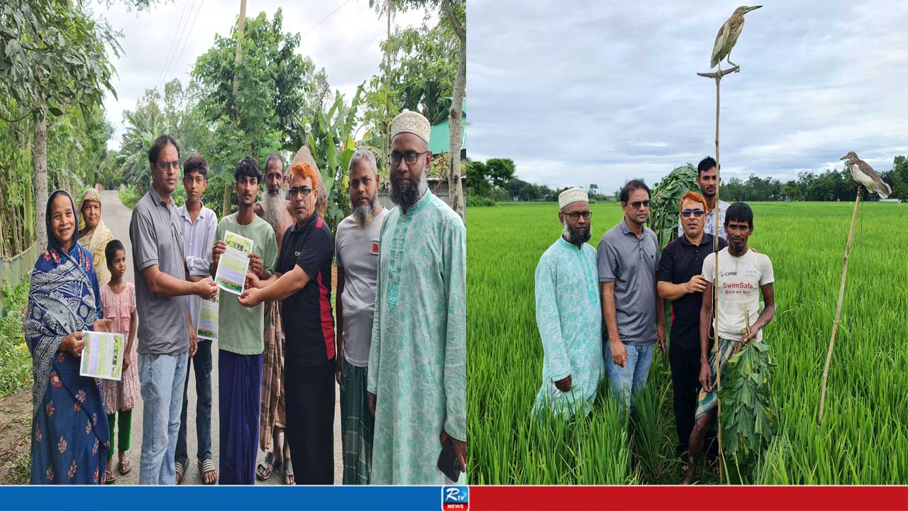 পাখি শিকার বন্ধে শেরপুরের দুই উপজেলায় বিশেষ অভিযান