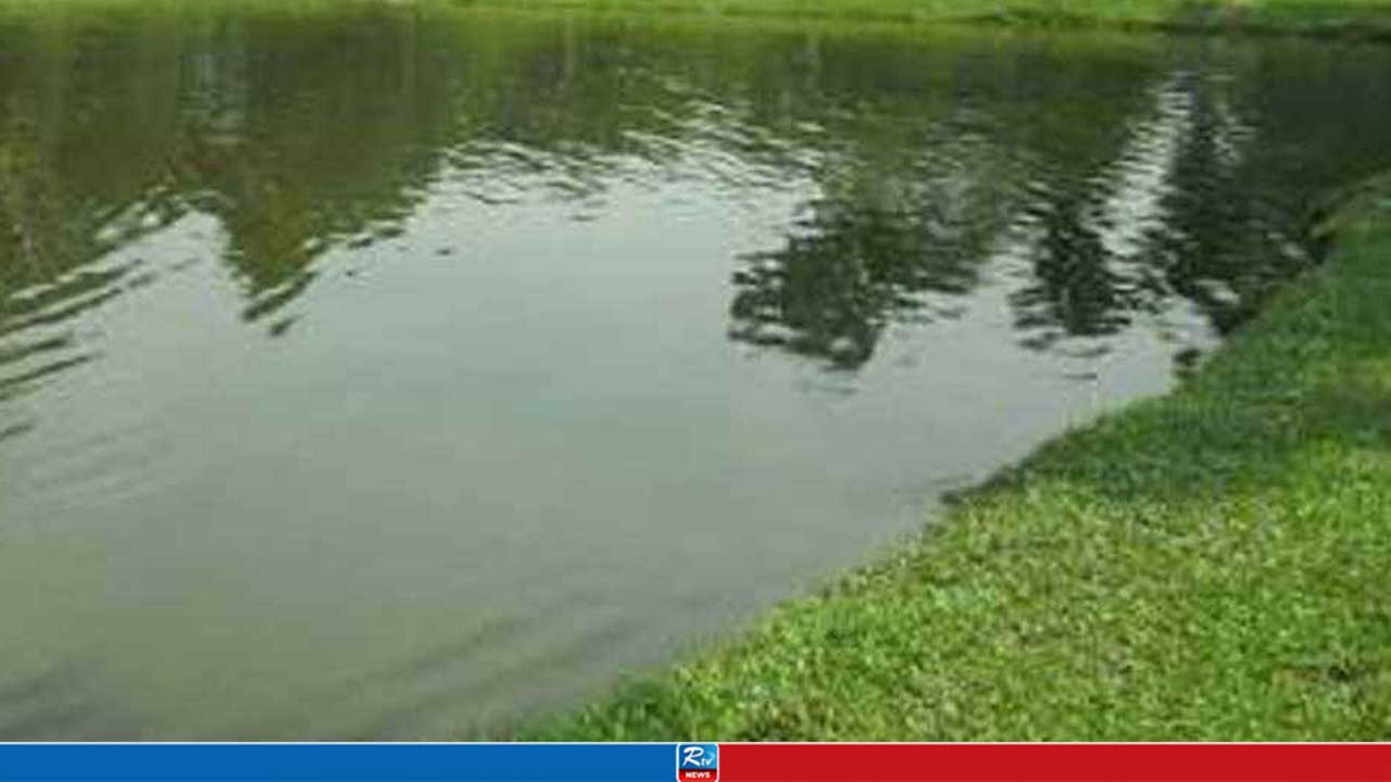 সবার অগোচরে পুকুরে ডুবে যায় দেড় বছরের শিশু, অতঃপর...