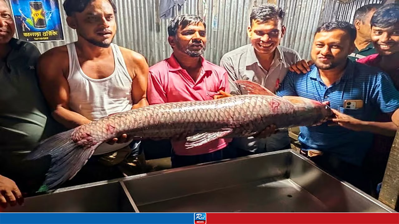 এক ব্ল্যাক কার্প ১৭৫০০ টাকায় বিক্রি