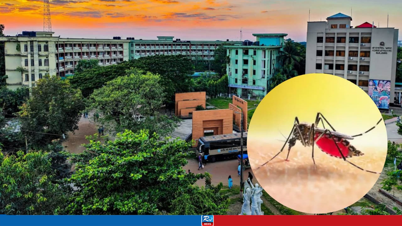 নজরুল বিশ্ববিদ্যালয়ে মশার আতঙ্ক, ডেঙ্গুতে আক্রান্ত ১