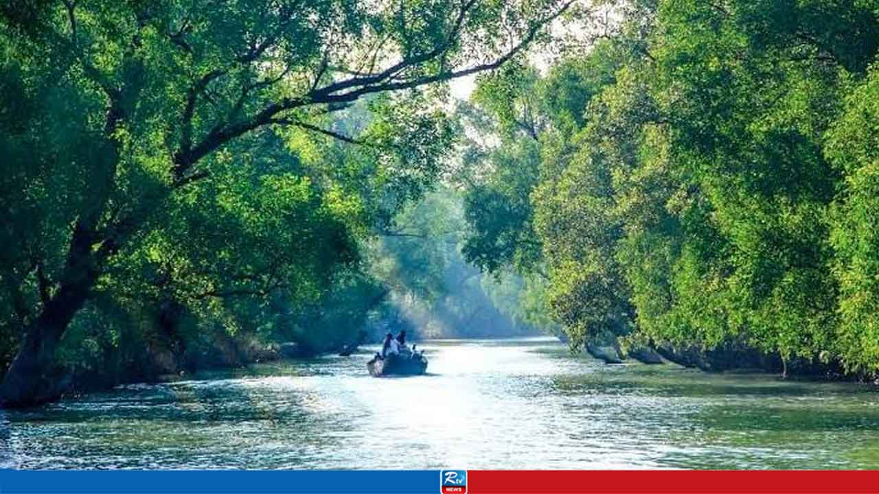 সুন্দরবন ঘিরে তৈরি হচ্ছে নতুন পর্যটন সম্ভাবনা