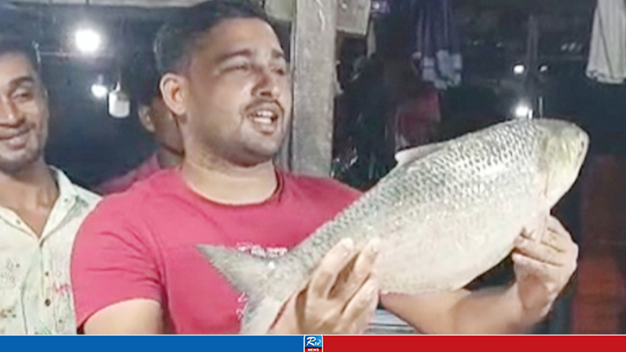 আড়াই কেজির বেশি ওজনের রুপালি ইলিশ বিক্রি হলো ১০ হাজার ৪৫০ টাকায়