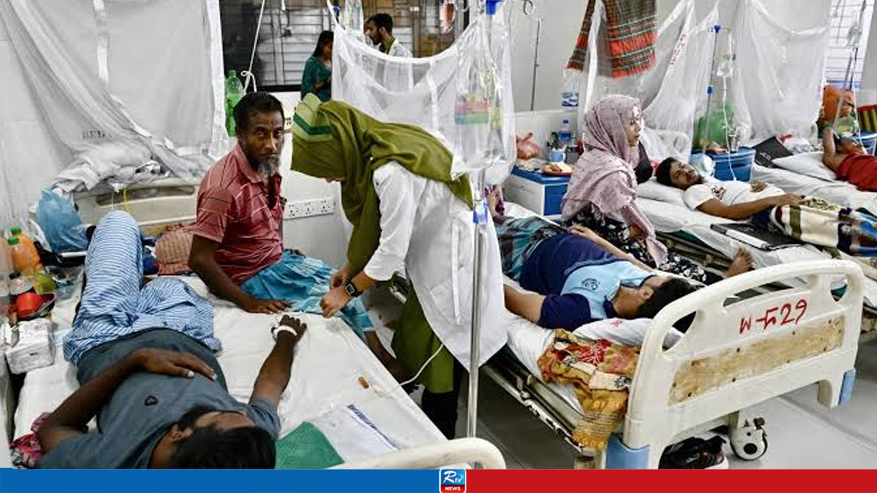 Dengue Claims 8 More Lives as 2,036 Fresh Cases Recorded