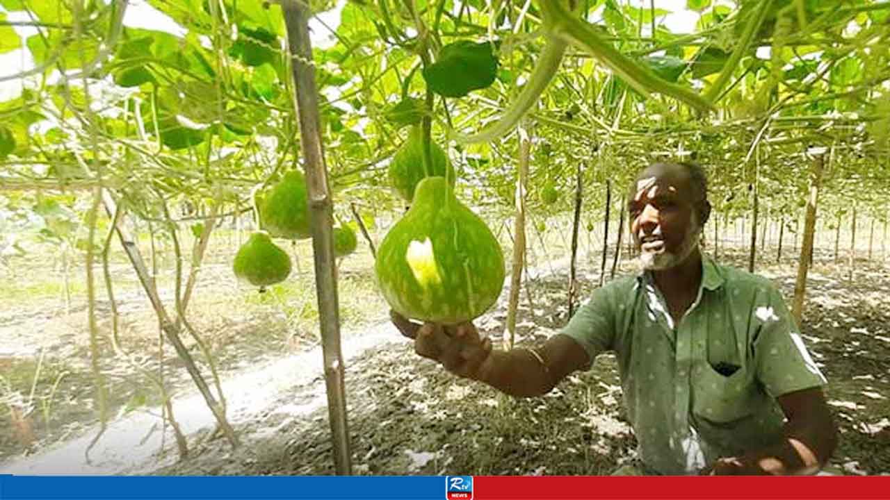 বরেন্দ্র অঞ্চলে আগাম সবজি চাষে আশার আলো