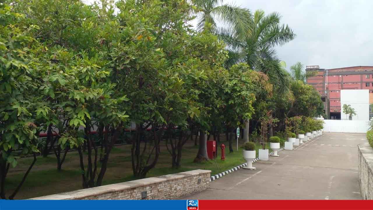 সবুজের ছায়ায় স্বস্তির ঠিকানা: কর্ণফুলী ইপিজেডের লিড কারখানা