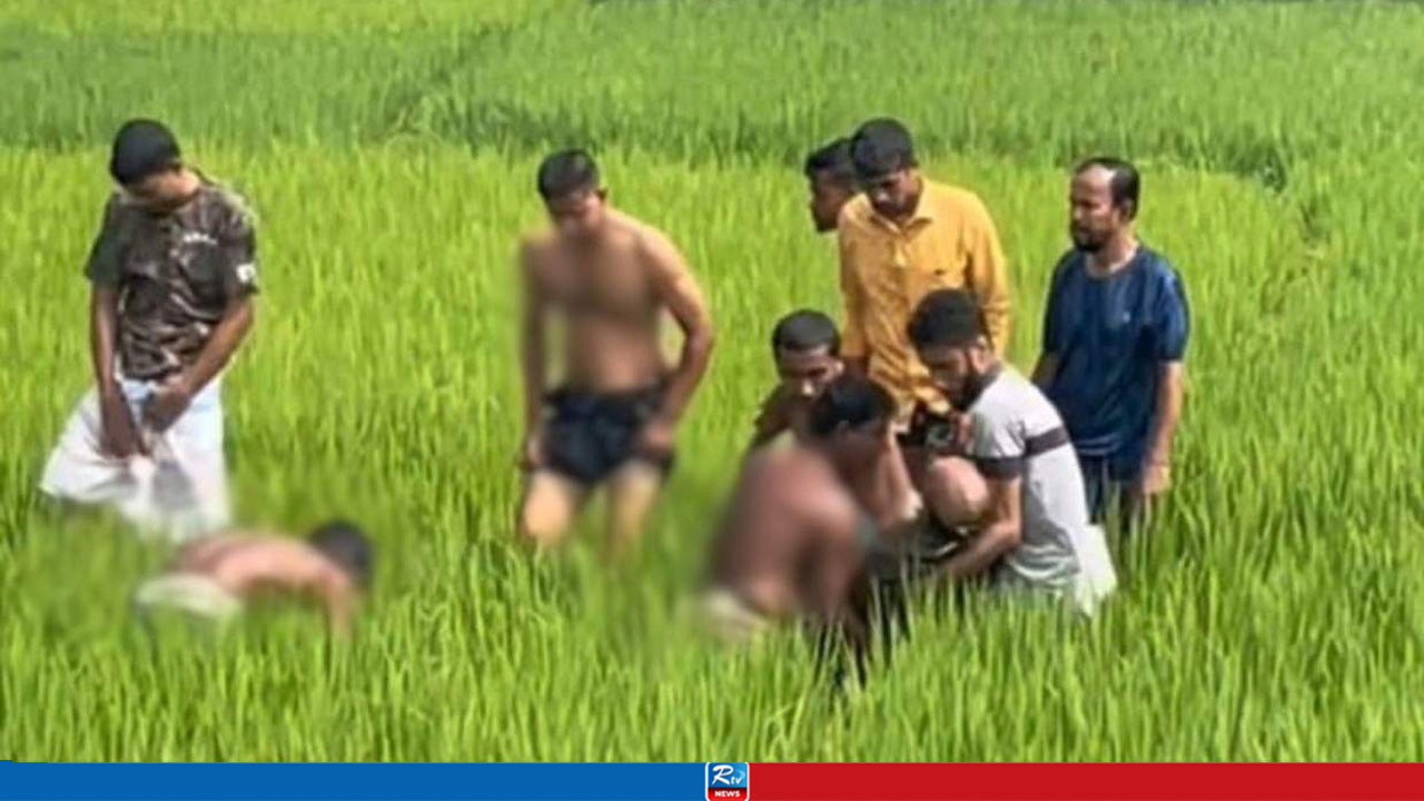 পল্লি বিদ্যুতের ছেঁড়া তারে জড়িয়ে দুই চাচাতো ভাইয়ের মৃত্যু