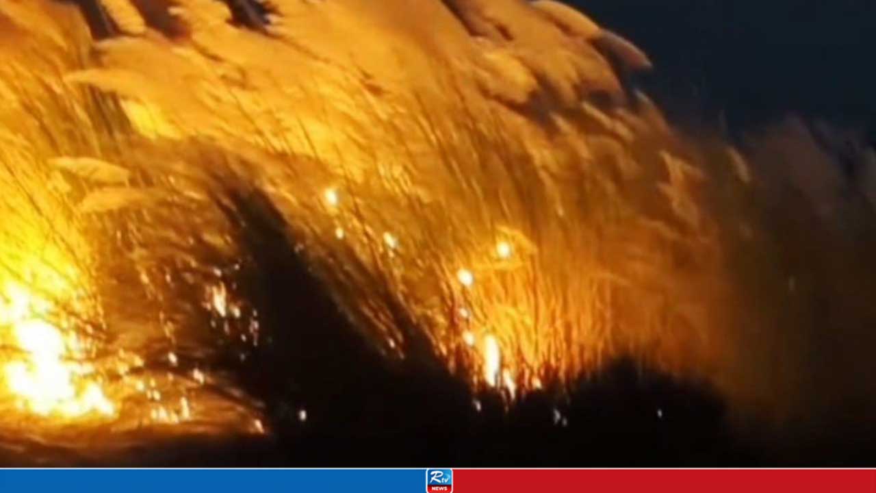 নেত্রকোনা বিশ্ববিদ্যালয়ের কাশবনে দুর্বৃত্তের আগুন