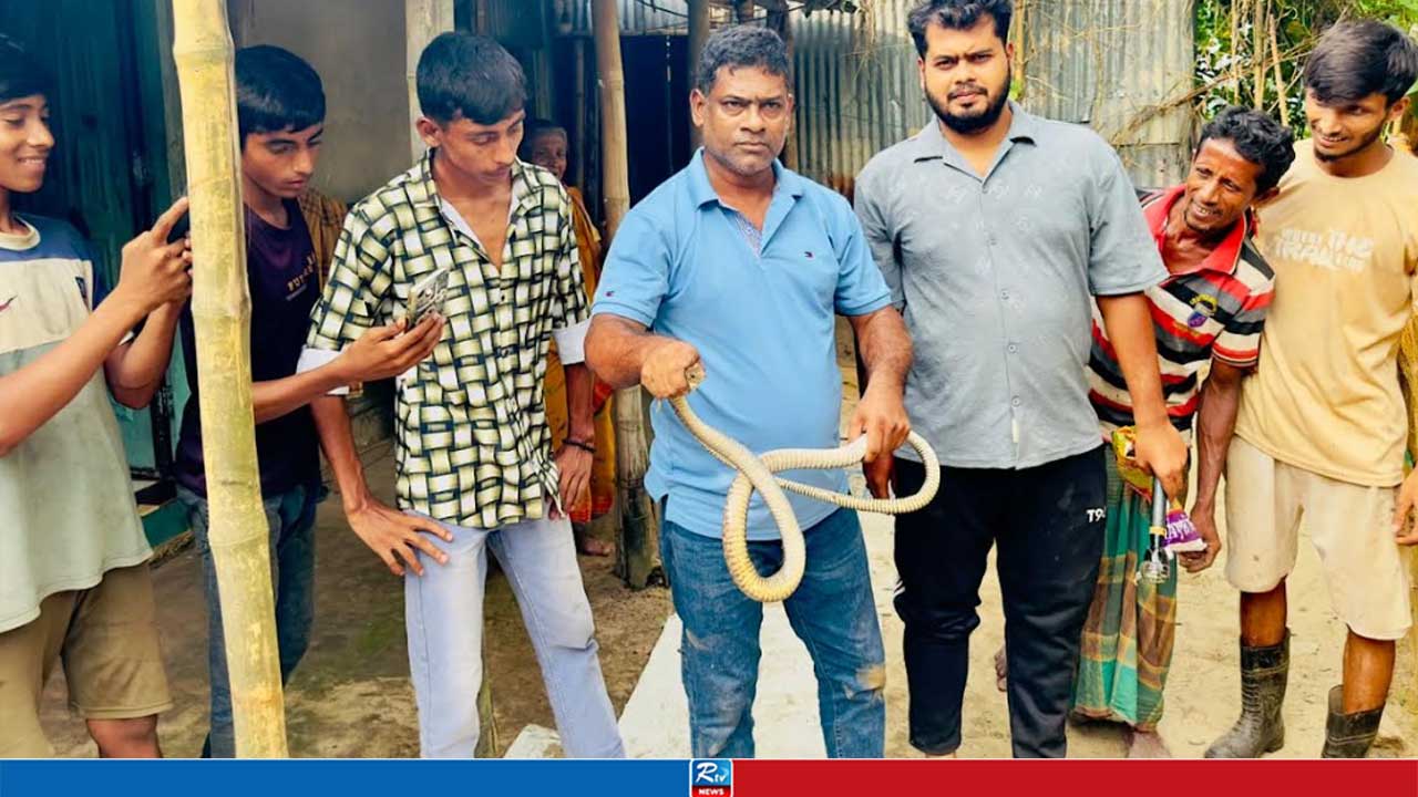 রান্নাঘরে লাকড়ির স্তূপে তাকাতেই চোখ কপালে