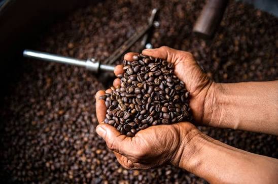 কফি । ছবি: সংগৃহীত
