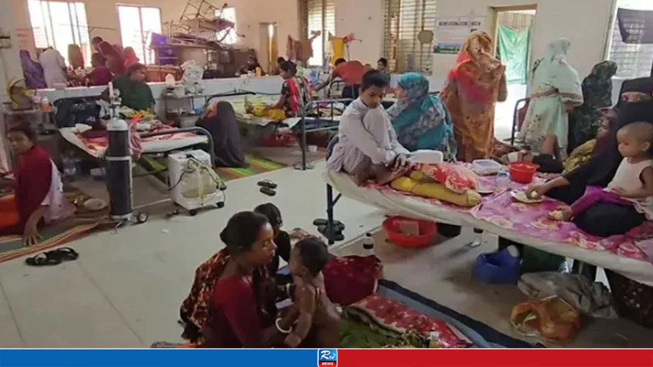 চলতি বছর ডেঙ্গুতে মৃত্যু ২৫০