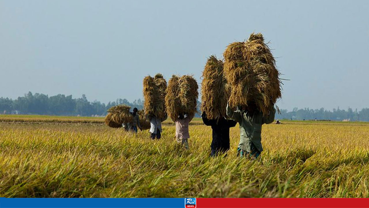 জাতীয় উৎপাদনশীলতা দিবস আজ