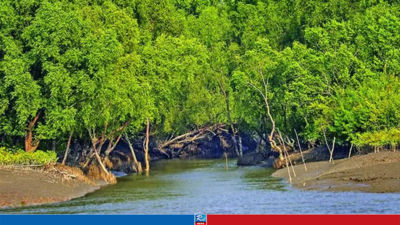 সুন্দরবনে ড্রোন উড়িয়েও সন্ধান মেলেনি অপহৃত ২১ জেলের