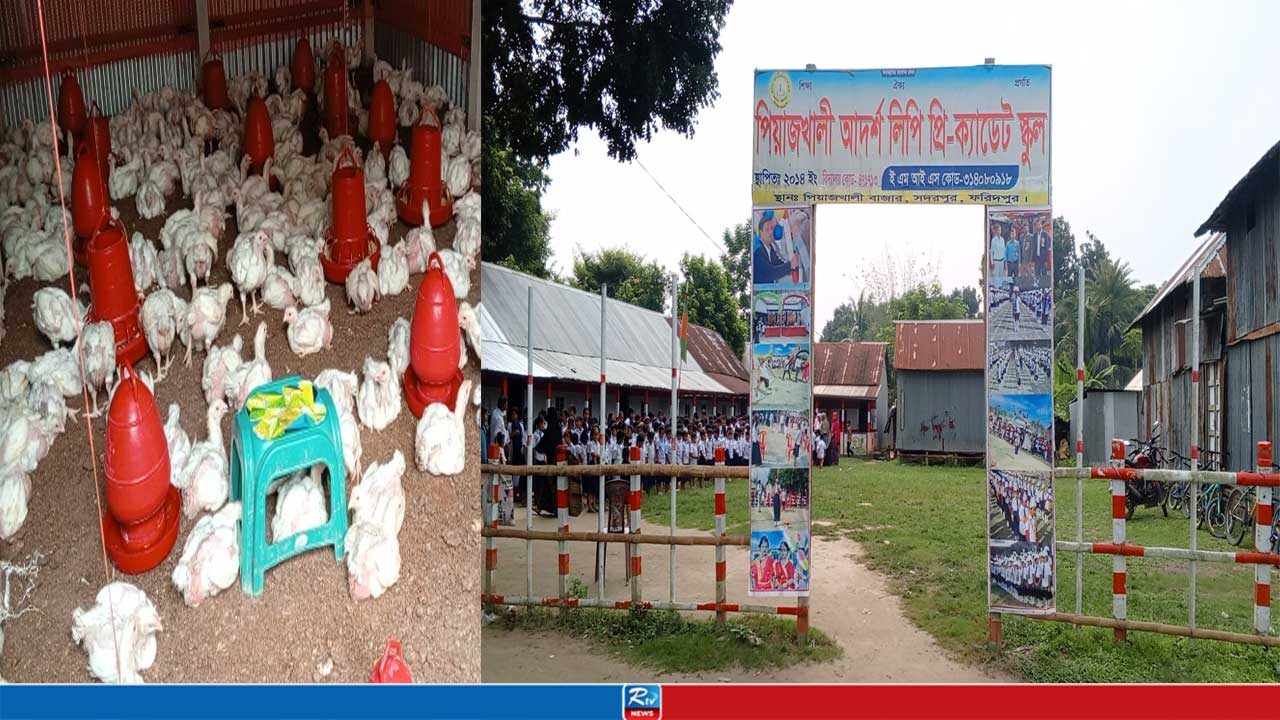 পোল্ট্রি ফার্মের দুর্গন্ধে ‘প্রাণ ওষ্ঠাগত’ শিক্ষার্থীদের