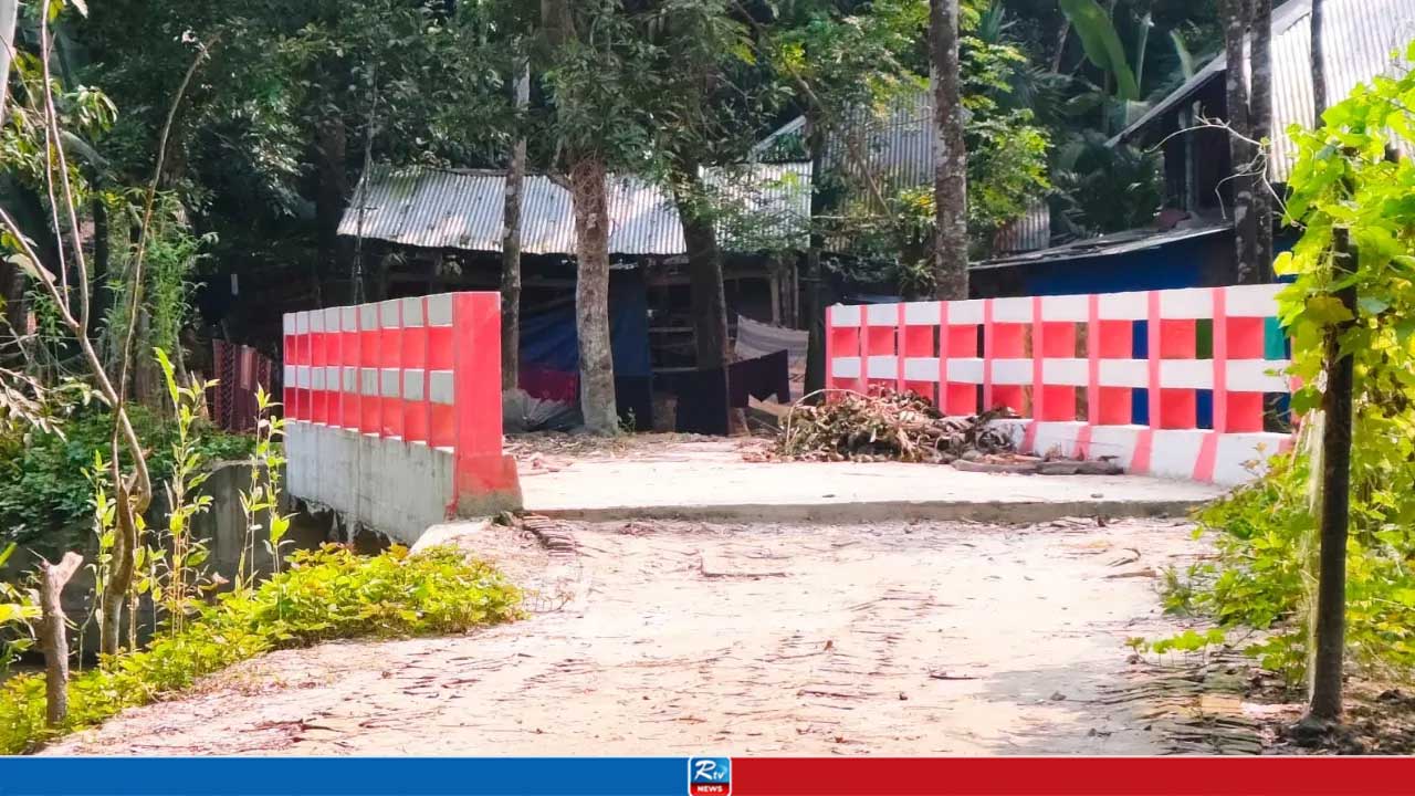 এক বাড়িকে সুবিধা দিতে ৪১ লাখ টাকার সেতু!