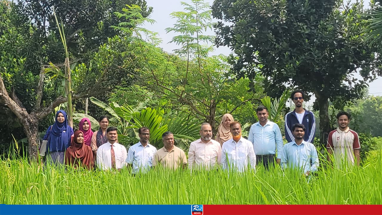 হাবিপ্রবিতে ব্লাস্ট প্রতিরোধী ও চরাঞ্চল উপযোগী ধানের জাত উদ্ভাবনে নতুন সম্ভাবনা