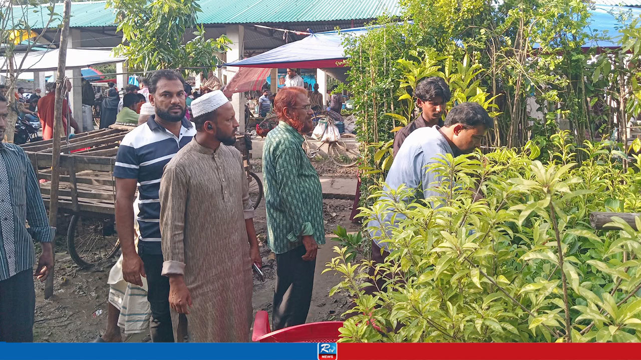 পাইকগাছায় জমে উঠেছে গাছের চারার হাট