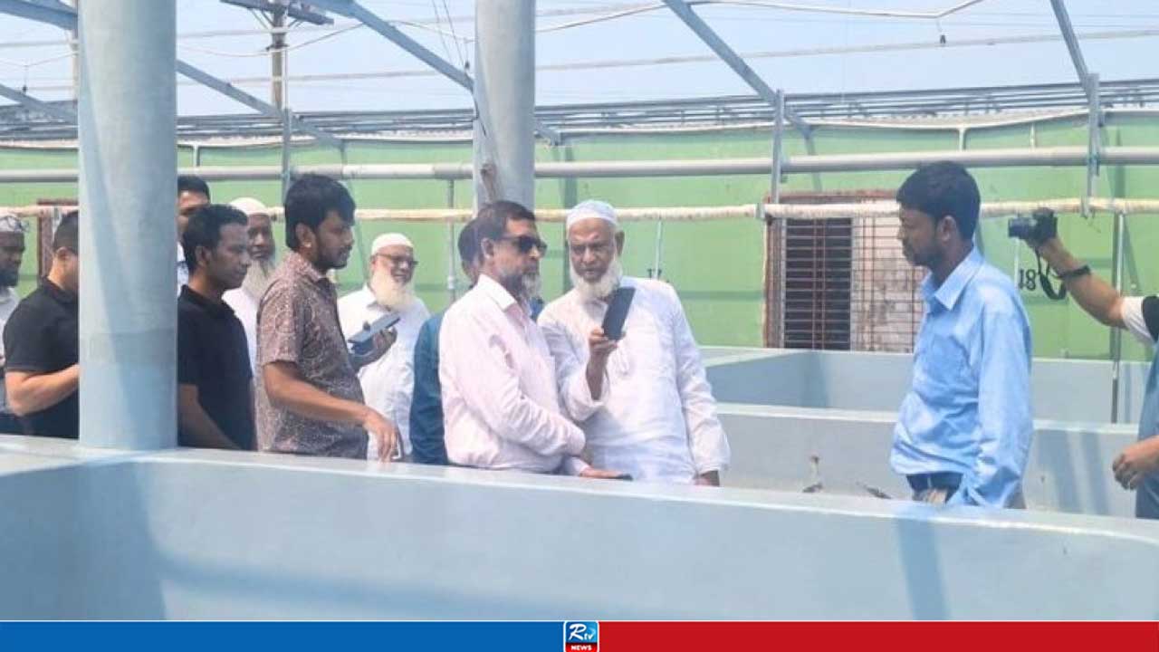 চিংড়ির হ্যাচারিতে সৌর প্যানেল, উৎপাদন হবে ৭০ হাজার ইউনিট বিদ্যুৎ