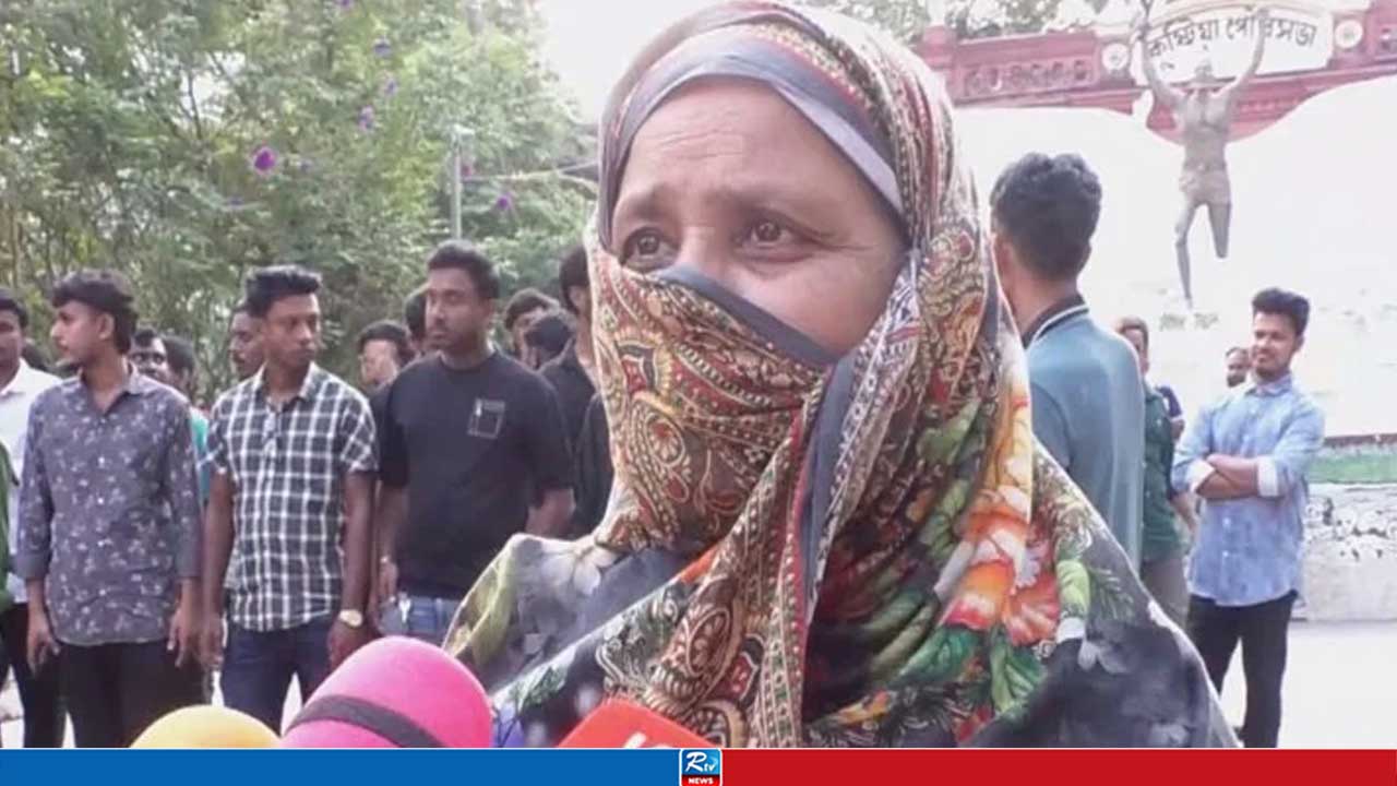 ‘ট্রেনিংয়ের জন্য নিয়ে আইছে, এখন দেখছি মিছিল’, এনসিপির কর্মসূচি নিয়ে বিস্ফোরক মন্তব্য
