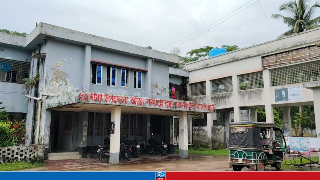 নারিকেল পাড়তে গাছে উঠে ছিলেন মাহিন, অতঃপর...