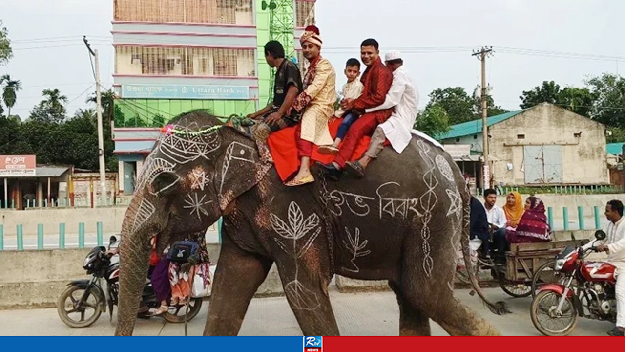 মা-বাবার শখ পূরণ করতে হাতির পিঠে বরযাত্রা