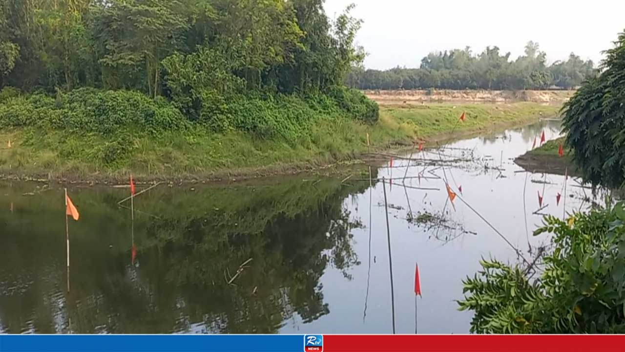 নানা সংকটে হুমকিতে ঠাকুরগাঁও মৎস্য অভয়াশ্রমের হাজারো মা মাছ