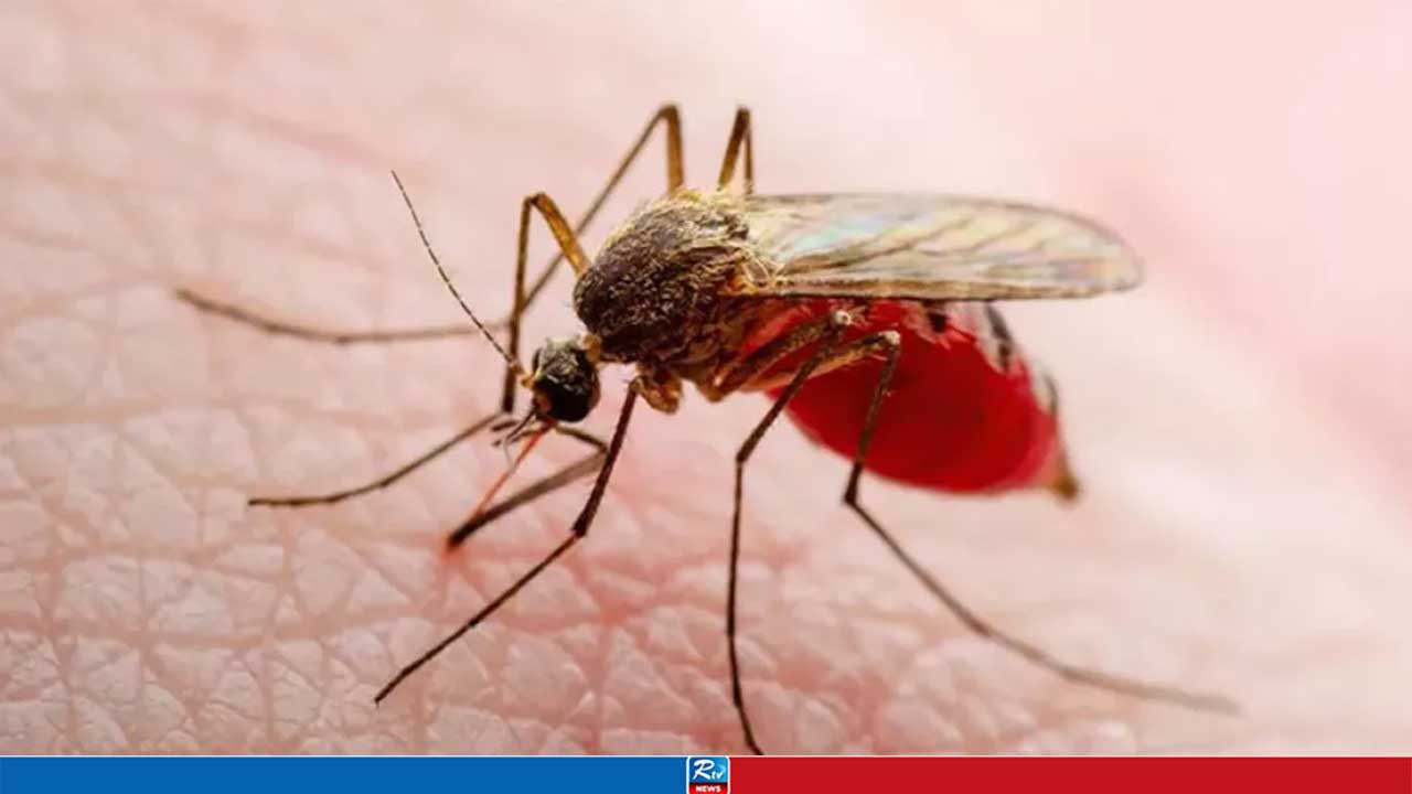 দেশে ডেঙ্গুতে আরও ৯ জনের মৃত্যু, হাসপাতালে নতুন ভর্তি ১৯৫৪