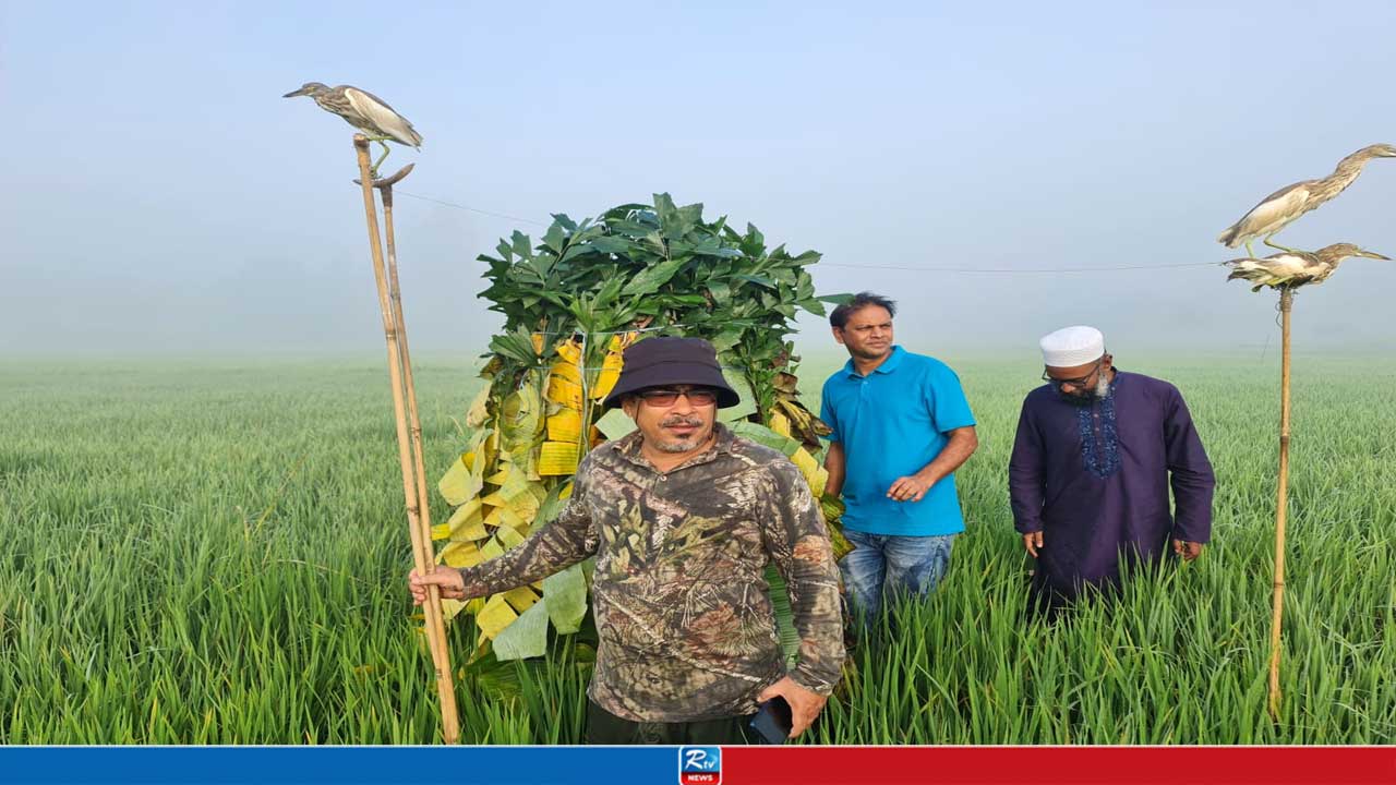শেরপুরের ২ উপজেলায় পাখি শিকার বন্ধে অভিযান
