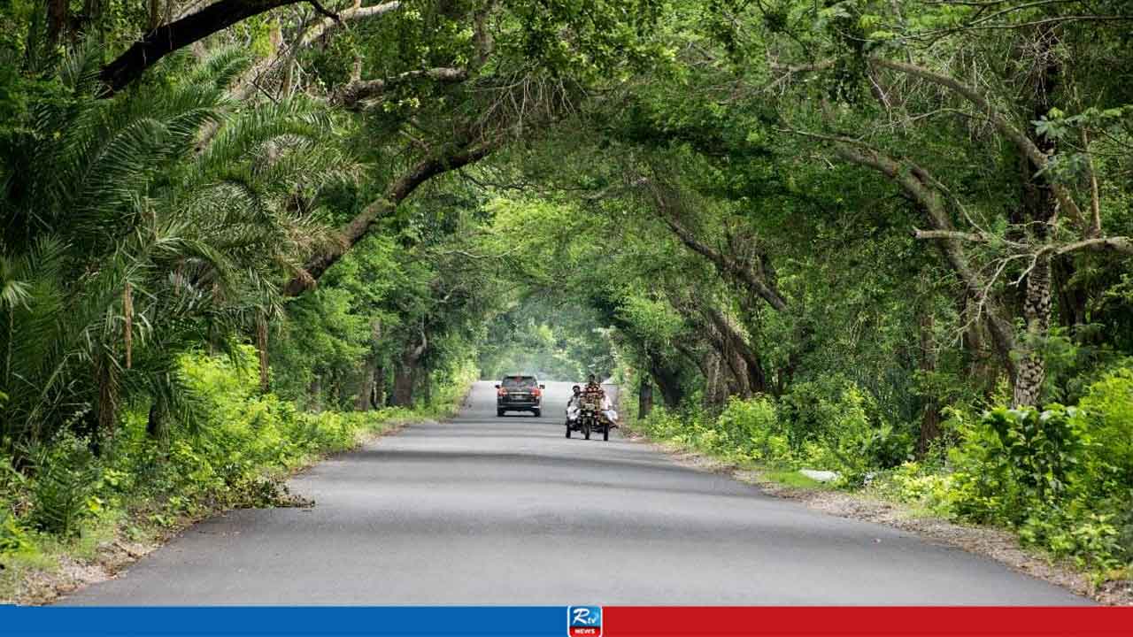 সকালে হাঁটতে বেরিয়ে গাড়িচাপায় প্রাণ গেল স্বামী-স্ত্রীর