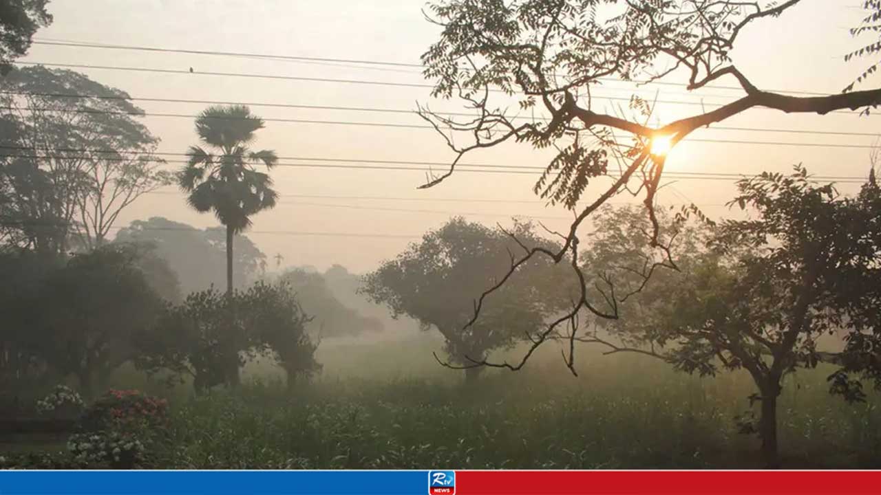 কড়া নাড়ছে শীত, তাপমাত্রা নিয়ে যা জানা যাচ্ছে