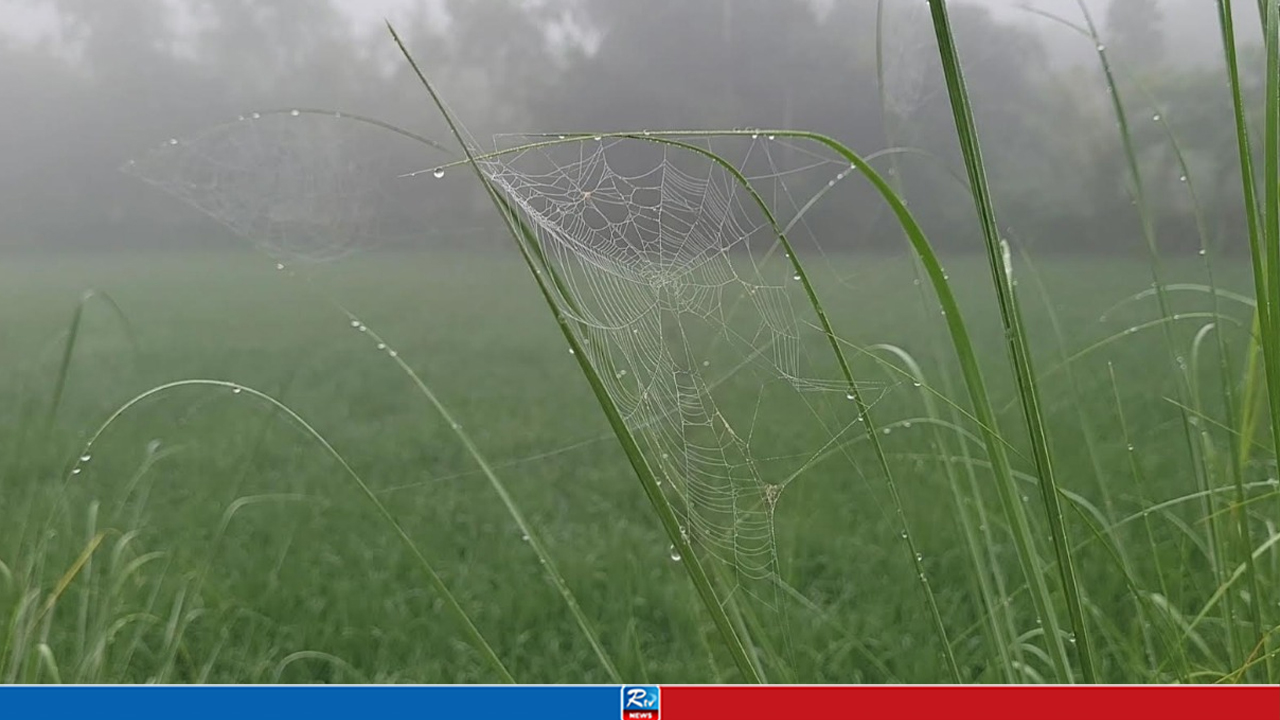 মধ্যরাত থেকে কুয়াশায় ঢেকে যায় উত্তরের জনপদ, সূর্য উঠতেই উধাও!