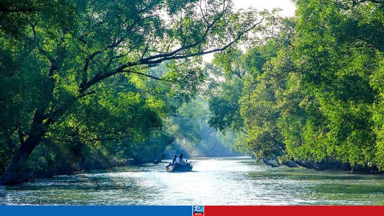 সুন্দরবনের জীববৈচিত্র্য রক্ষায় ‘নতুন পরিকল্পনা’