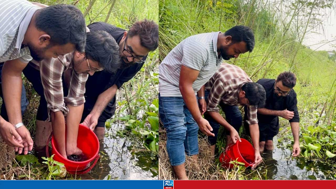জবির দ্বিতীয় ক্যাম্পাসে মাছের পোনা অবমুক্ত করলো ছাত্রদল