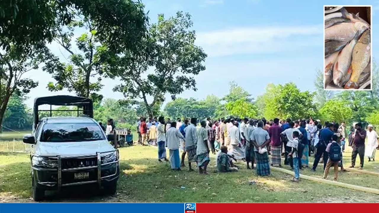 চট্টগ্রামে দিনদুপুরে সরকারি পুকুরের মাছ লুটের চেষ্টা