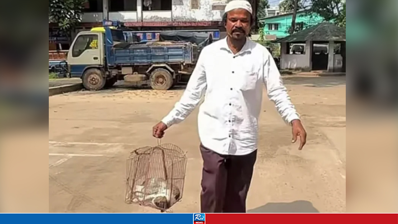 পোষা বিড়ালের মরদেহ নিয়ে থানায় হাজির মালিক, অতঃপর...