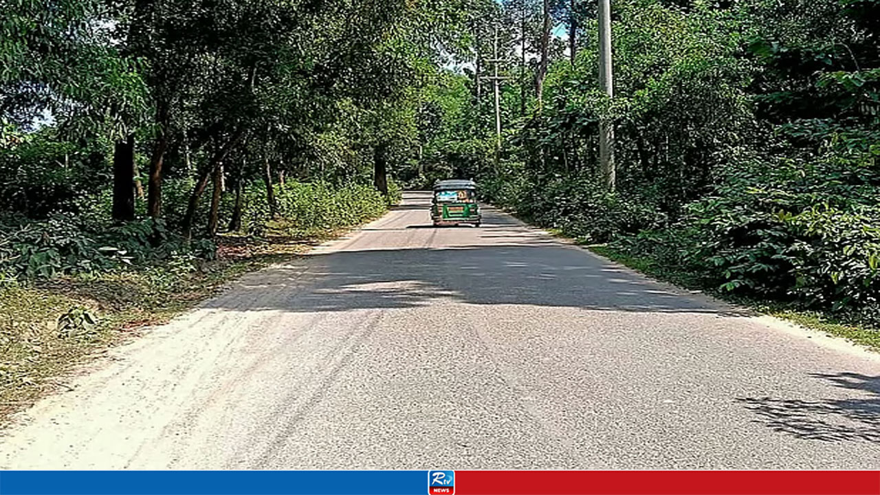 দিনে চলতেও ভয়, সন্ধ্যা নামলেই এই সড়কে বন্ধ হয়ে যায় যান চলাচল
