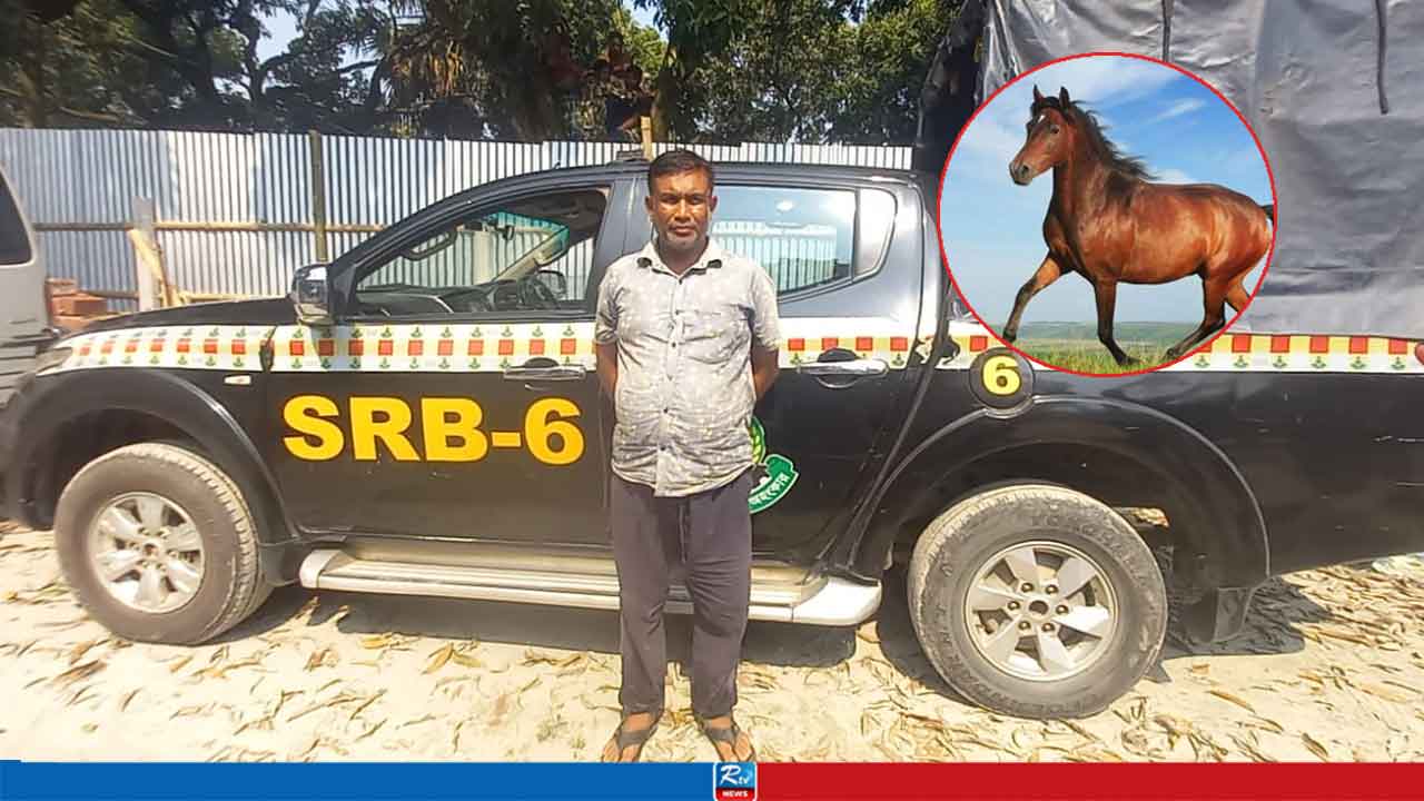 গরু-খাসি বলে ঘোড়ার মাংস চালিয়ে দিতেন পলাশ 